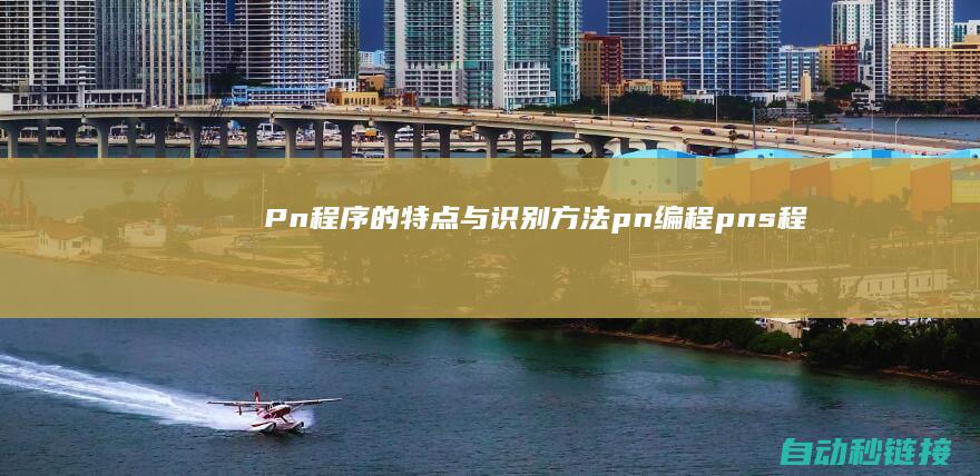 Pn程序的特点与识别方法|pn编程 (pns程序)