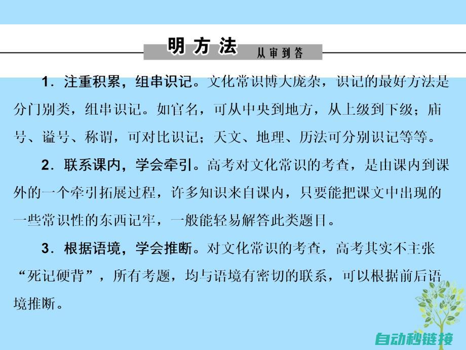 深入解析其优势与挑战 (深入解析其优势的成语)